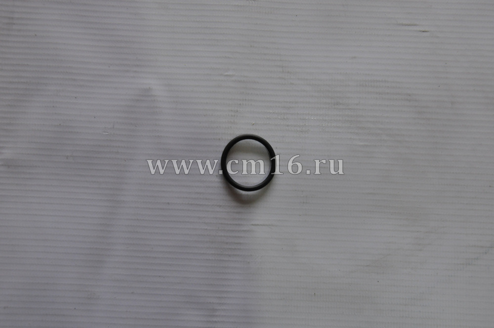 4058941 Кольцо уплотнительное подогревателя масла в поддоне ISF (С)