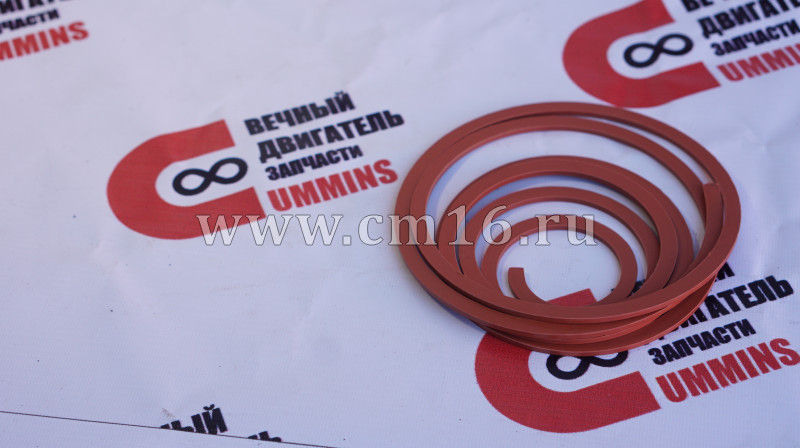 Прокладка клапанной крышки 6CT (АНАЛОГ) (C)