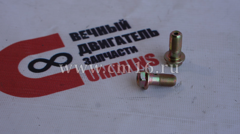 Болт М10х1,25х25 (банджо) крепления трубопроводов турбокомпрессора ISF2.8 (АНАЛОГ) (C)