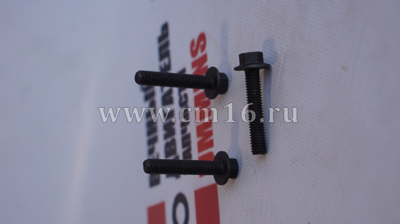 Болт М6х1х30 крепления форсунки ISBe (АНАЛОГ) (С)