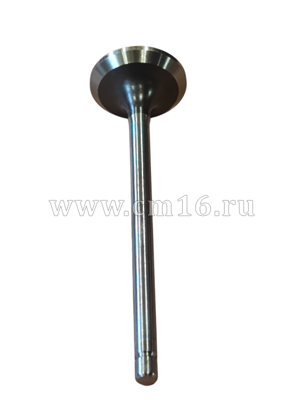 Клапан выпускной ГБЦ ISF2.8 (ОРИГИНАЛ) (О+)