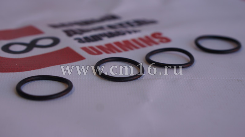 Кольцо уплотнительное пробки слива масла ISF2.8/3.8 (АНАЛОГ) (C)