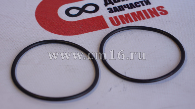 Кольцо уплотнительное ТНВД (установочное) ISF3.8,ISBe (АНАЛОГ) (C)