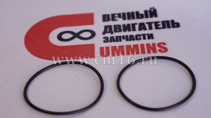 Кольцо уплотнительное ТКР ISBe (АНАЛОГ) (C)