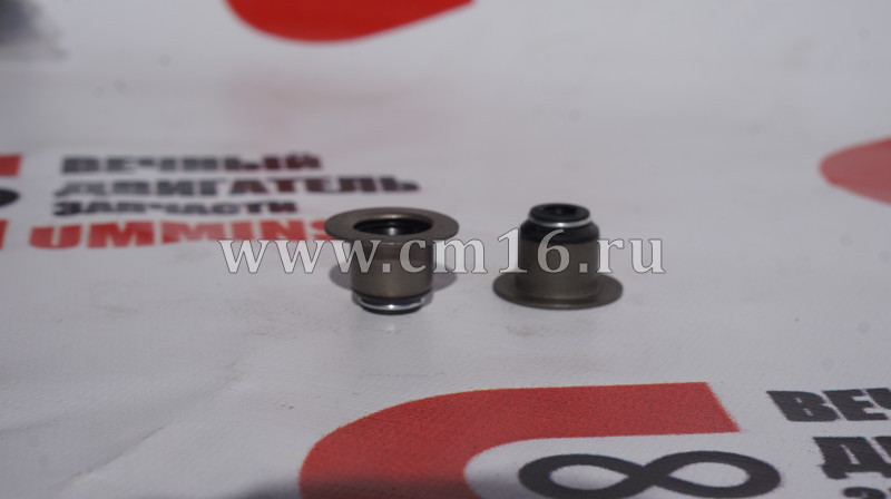 Колпачок маслосъемный (ГБЦ) ISF2.8 (АНАЛОГ) (C)
