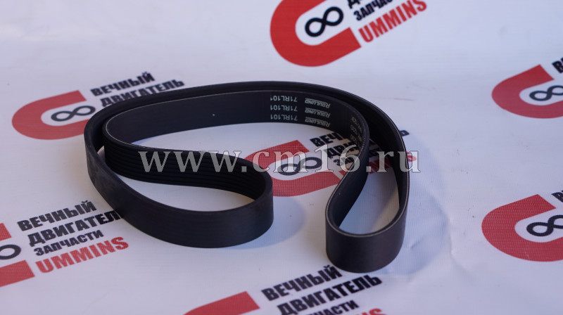 Ремень 1230/8РК ISBe158,210,250,270,285 (АНАЛОГ) (C)