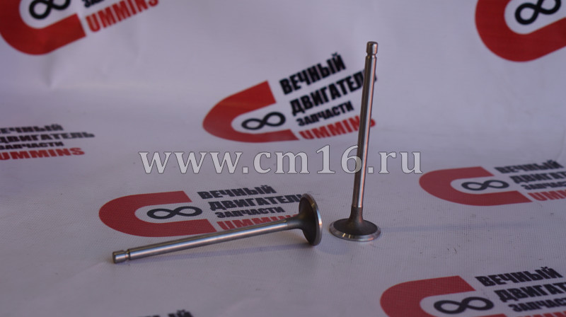 Клапан впускной ГБЦ ISBe,ISDe,ISF3.8 E-3,4 (АНАЛОГ) (C)