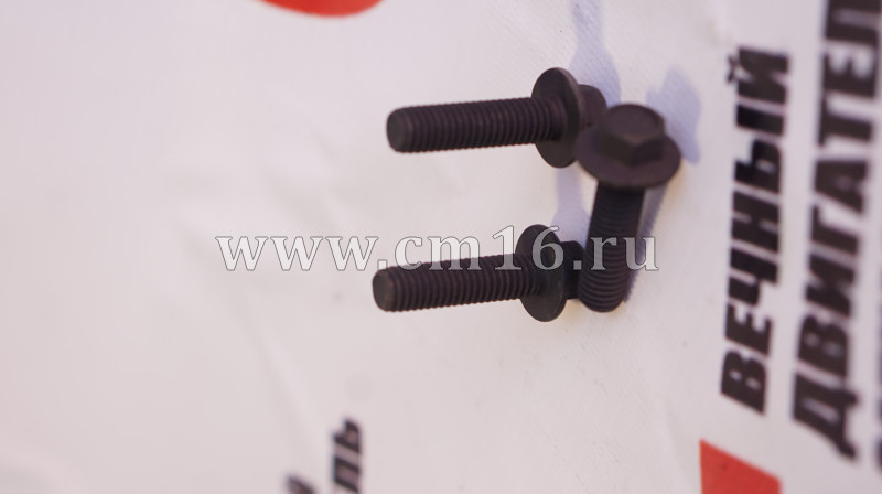 Болт М8х1,25х30 крепления ТКР ISF2.8, охладитель ЕГР ISF3.8 (АНАЛОГ) (С)