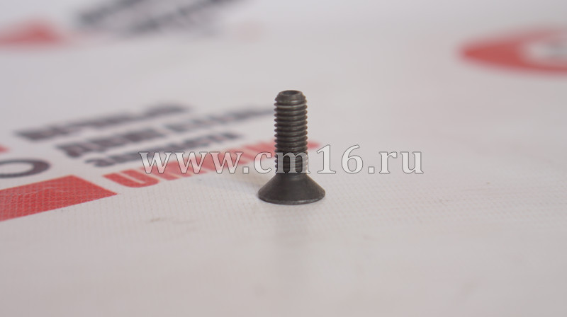 Болт М8х1,25х25 (на ролик 5256103) (ОРИГИНАЛ) (О+)
