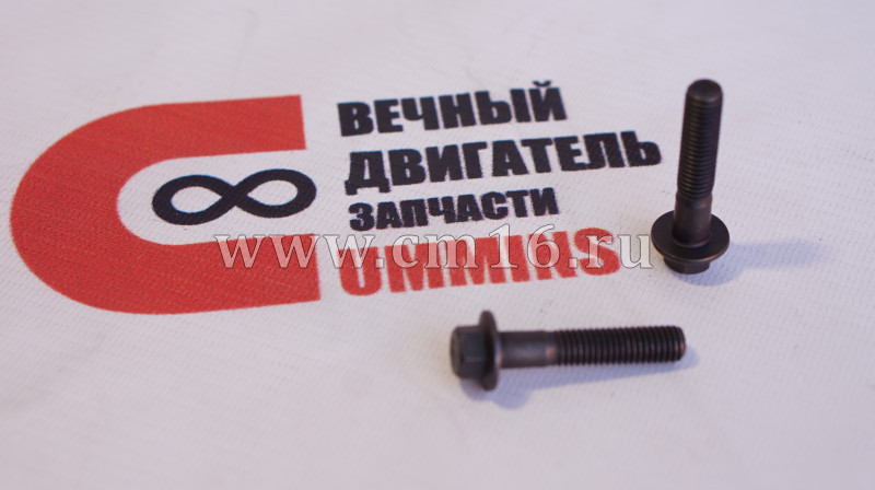 Болт М8х1,25х40 многофункциональный (АНАЛОГ) (С)